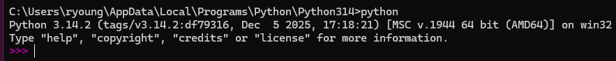 python command