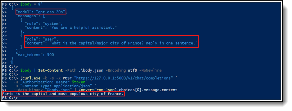 LOCAL API INFERENCE VALIDATION FOR THE GPT OSS 20B MODEL